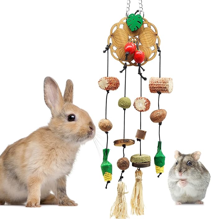 Photo 1 of ZALALOVA Bunny Rabbits Chew Toys, Bunny Chew Cage Hanging Toys with Treats for Small Animals Teeth Grinding Care Treats Rattan and Balls Pet Snacks (Circle Shape)
