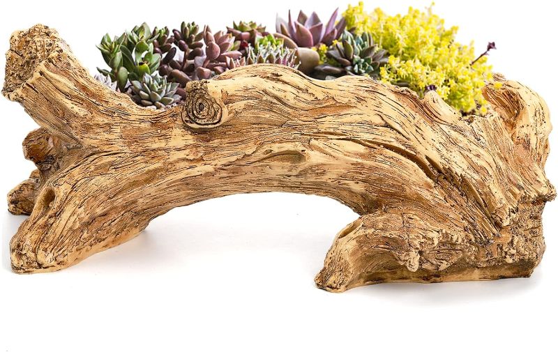 Photo 1 of  Artificial Driftwood Succulent Planter, Resin Tree Stump Sculpture Rustic Cactus Flower Pot for Herb, Strawberry, Small Plants, Natural Color Drainage Hole, 14.6" L x 4.3" W x 5.1" H