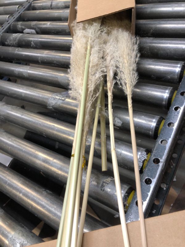 Photo 1 of 47In 10 Stems Natural Pampas Grass Tall Decor - Dried Brown Fluffy Pompas Grass Boho Decor - Long Stem Pampas Grass for Floor Vase Wedding Flowers Home Table Decor Room Decor?Brown?