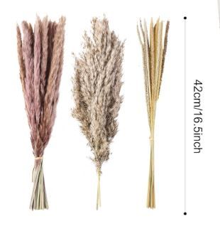 Photo 1 of 3 Bouquet  Natural Dried Pampas Grass Mix Bouquet 16.5in -----vase not included