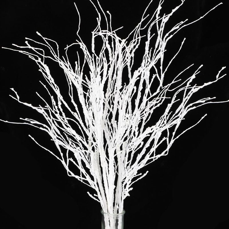 Photo 1 of 20 Pcs 35.4 Inch Curly Willow Branches Halloween Lifelike Floral Dried Artificial Twigs Bendable Iron Wires Tree Branches for Decoration Twigs and Branches for Vases Decorative Sticks (White)
