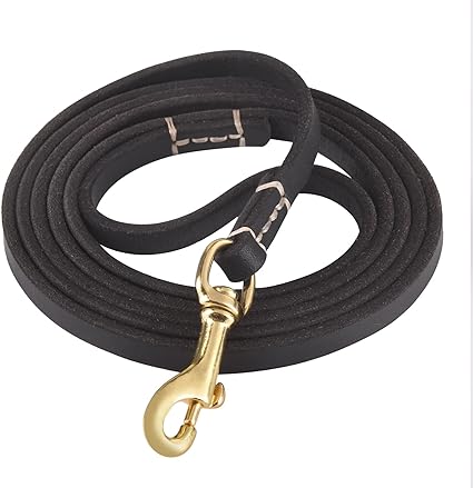 Photo 1 of WOPOKY 5FT  Geninue Leather Leash for Small to Medium Dogs Training and Walking - Color Black
