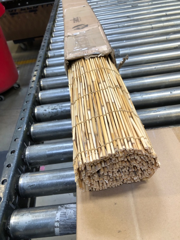 Photo 1 of Backyard X-Scapes 20-BLN5 Light-Filtering Cord-Free Bamboo Reed Roll-Up Blind Shades for Windows, 60 in W x 72 in H, Natural 60 in W x 72 in H Natural