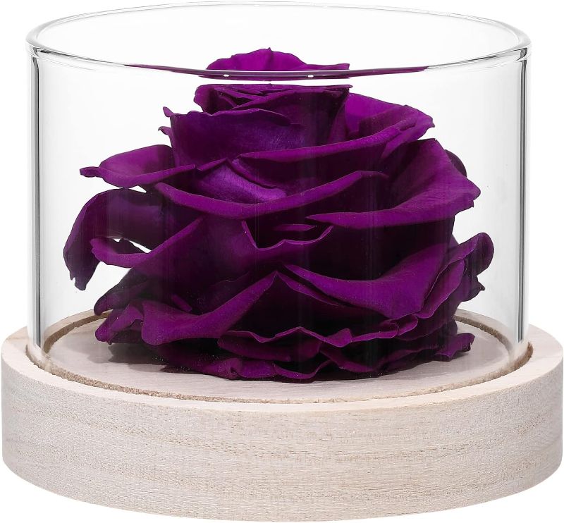 Photo 1 of COLORS VARY-Home Scent Fragrance Rose Flowers Preserved Real Rose Flower for Valentines Day Christmas Wedding Gift for her Gift for Mom (Purple)
