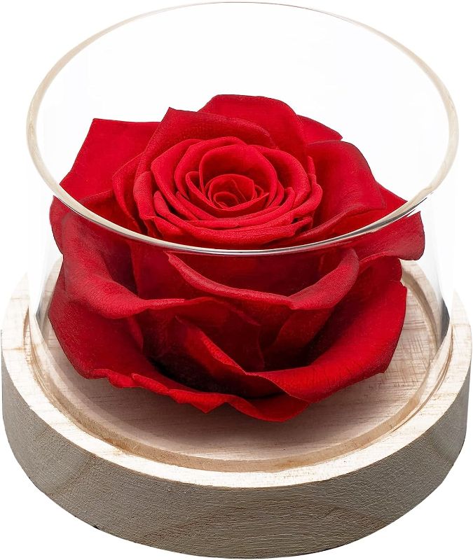 Photo 1 of -Home Scent Fragrance Rose Flowers Preserved Real Rose Flower for Valentines Day Christmas Wedding Gift for her Gift for Mom (RED)
