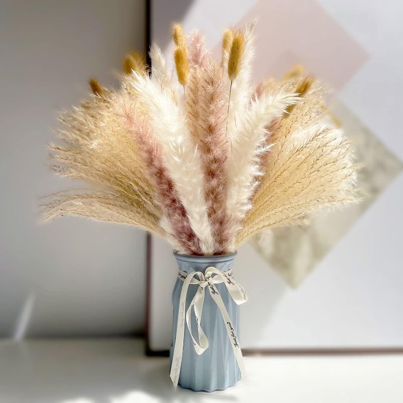 Photo 1 of  General Brand Dried Pampas Grass Decor 