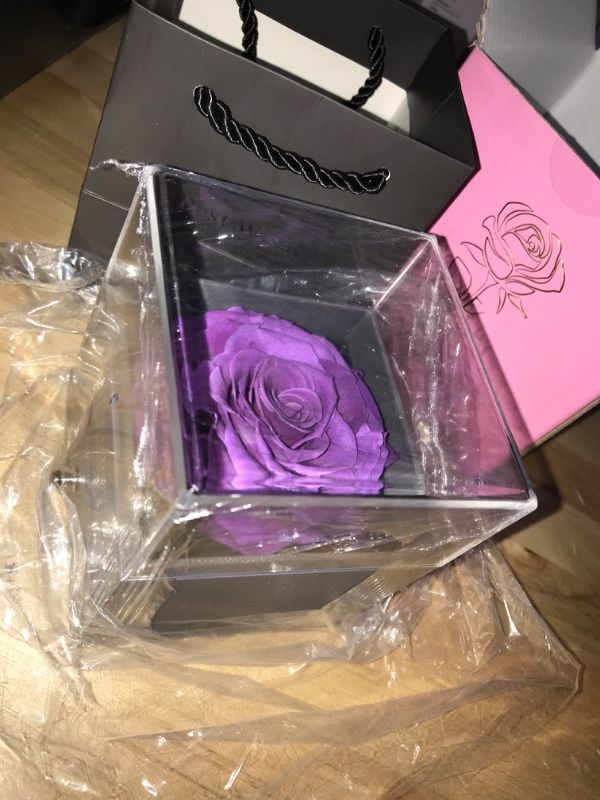 Photo 2 of *COLOR AND NECKLACE MAY VARY** ** IMAGE JUST FOR REFERENCE** Real Preserved Rose with Love You 100 Languages Necklace Box Gift for Her, Birthday Gift for Women, Rose Gift for Anniversary, Valentine's Day, Mother's Day, Christmas