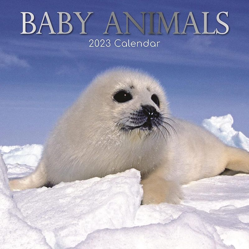 Photo 1 of 2 PACK**2023 Square Wall Calendar, Baby Animals, 16-Month Animals Theme with 180 Reminder Stickers (12 x 12 In)
