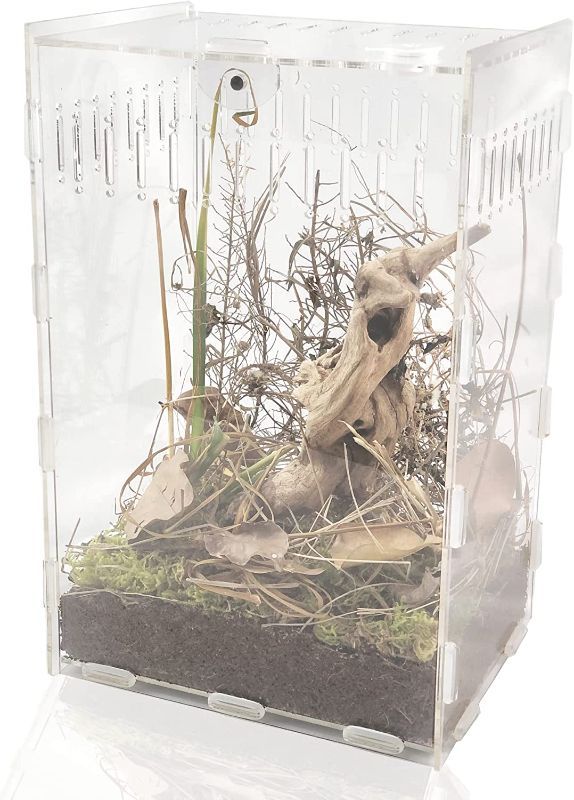 Photo 1 of 12x8x6 inch Magnetic Acrylic Reptile Case, Vertical Transparent Tarantula Enclosure Tank, Micro Habitat Terrariums Suitable for Insect, Spiders, Crickets, Snails, Hermit Crabs, Lizards, Frogs