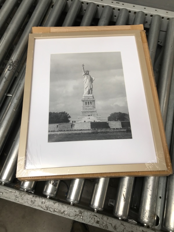 Photo 1 of 16x20 picture frame