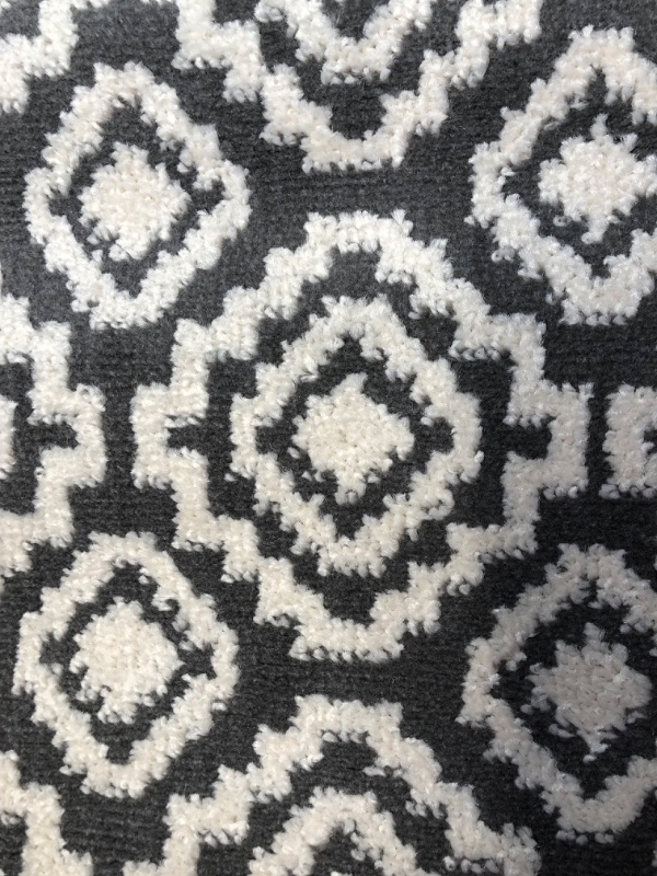 Photo 1 of 22IN X 48IN AREA RUG(UNKNOWN BRAND)