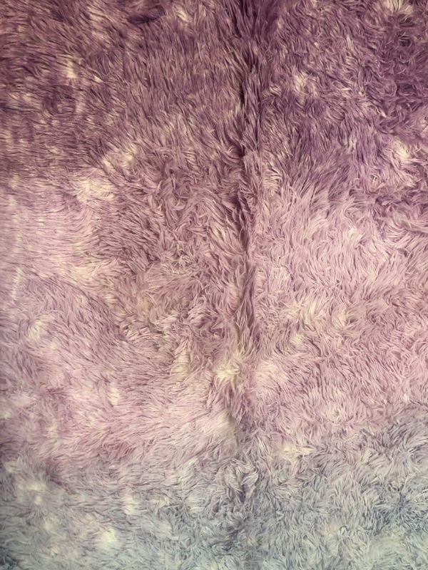 Photo 1 of 5' X 7' MULTICOLORED PLUSH AREA RUG(UNKNOWN BRAND)