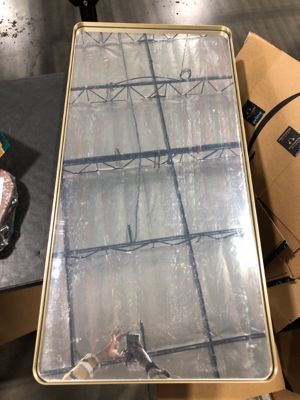 Photo 1 of 24 x 48 Body Mirror