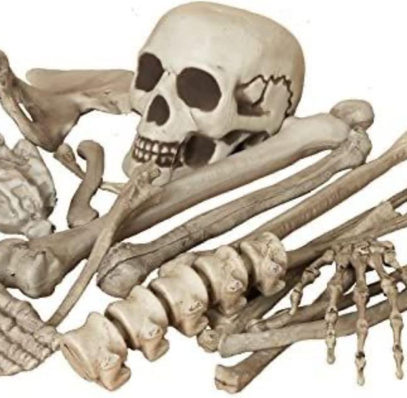 Photo 1 of Bag of Bones Halloween Decoration Props