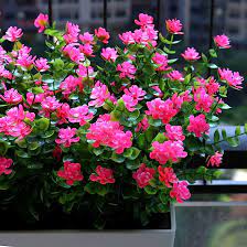 Photo 1 of YXYQR 8 Pack Outdoor Artificial Flowers UV Resistant Fake Plastic Flower Outside Indoor Faux Greenery Shrubs for Windowsill, Garden, Pot, Vase, Flower Bed, Office, Wedding Decoration Pink