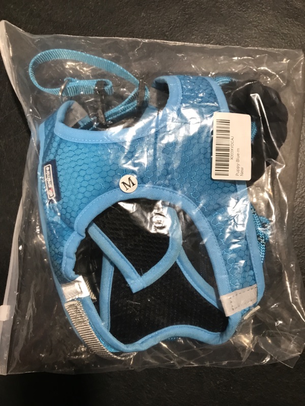 Photo 1 of [Size M] Puppy Harness and Leash Set- Blue