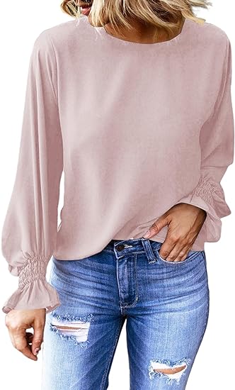 Photo 1 of [Size L] Spriolim Women's Long Sleeve V Neck Shirt Dressy Pleated Top Casual Loose Chiffon Blouses 