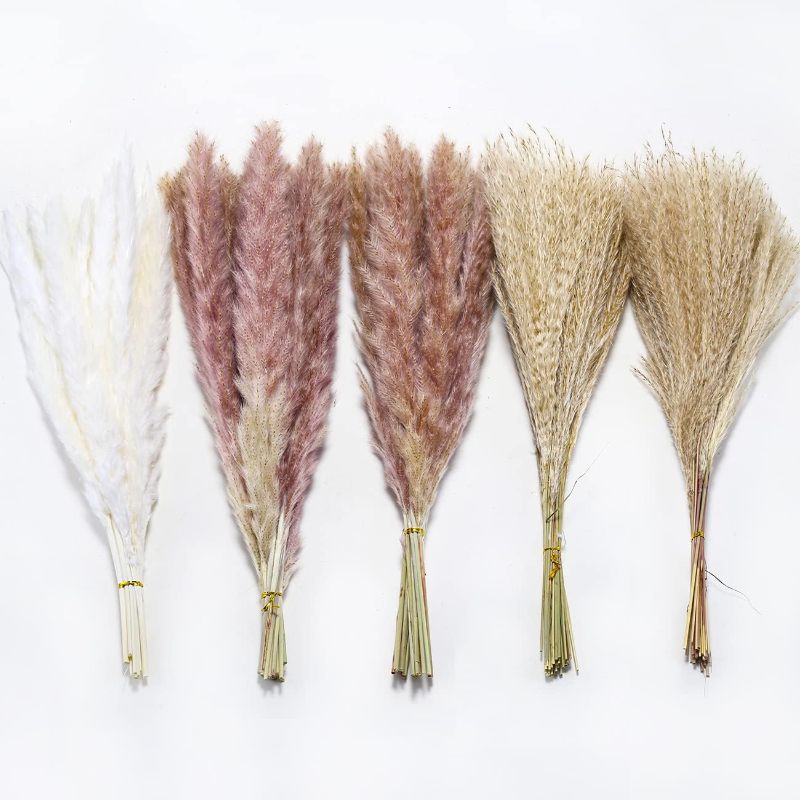 Photo 1 of 105pcs 17.72" Pampas Grass White 15pcs?Brown Dried Plants 30pcs?60pcs Natural Dried Grass, Natural Home Decor & Ideal for Flower Arrangements, Wedding Plants
