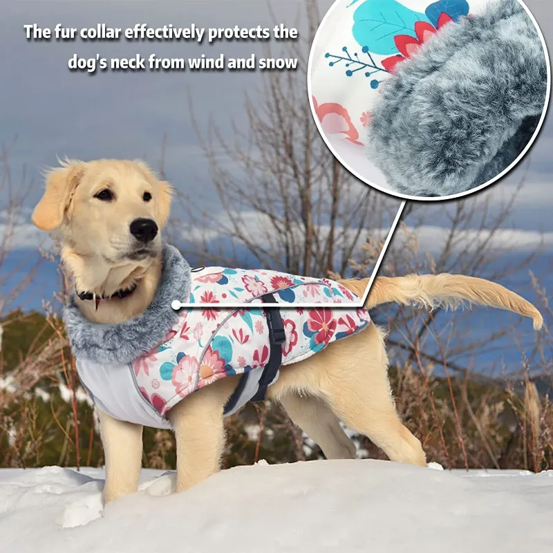 Photo 1 of [Size M] FUAMEY Dog Cold Weather Jacket,Dog Winter Coat with Fur Collar Pet Windproof Warm Vest Doggie Reflective Apparel Medium Paded Dog Clothes with Leash Hole Thick Dog Fleece Outdoor Coats