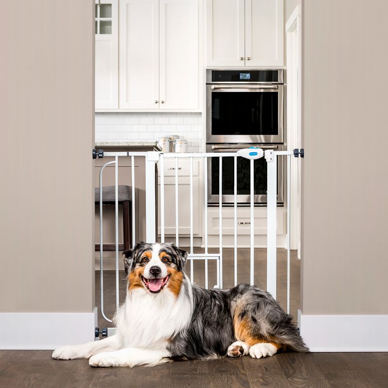 Photo 1 of Carlson Pet Products Extra Wide Walk-Thru Pet Gate with Door, 39"-38.5" W X 30" L, Large
