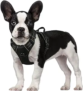 Photo 1 of rabbitgoo Dog Harness, No-Pull Pet Harness with 2 Leash Clips, Adjustable Soft Padded Dog Vest, Reflective No-Choke Pet Oxford Vest with Easy Control Handle for Small Dogs, Black, S