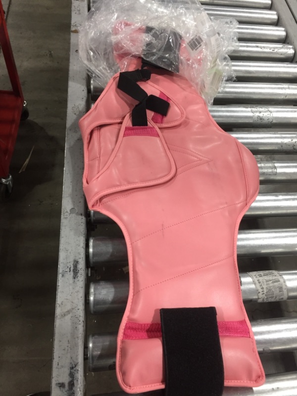 Photo 3 of ELITE SPORTS EMBRACE THE PAIN SHOULDER BRACE
PINK