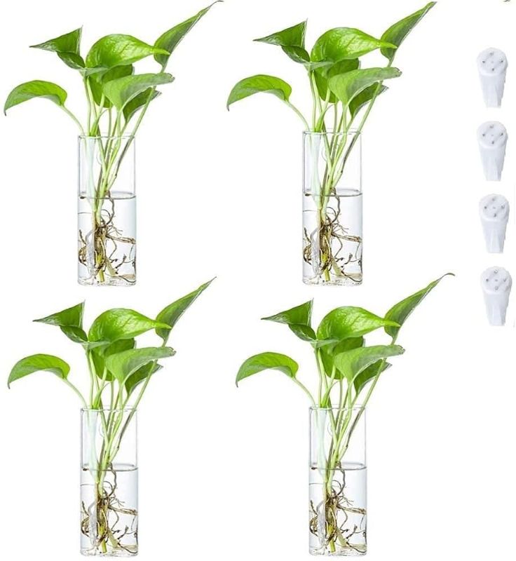 Photo 1 of 4 Pcs 7.5" Wall Hanging Planters Glass Terrariums - Rectangle Plants Holders Air Plants Succulents Planters Flowers Glass Wall Vase Containers for Decor Indoor Garden 