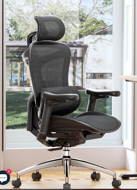 Photo 1 of SIHOO Doro-C300 Ergonomic Office Chair
