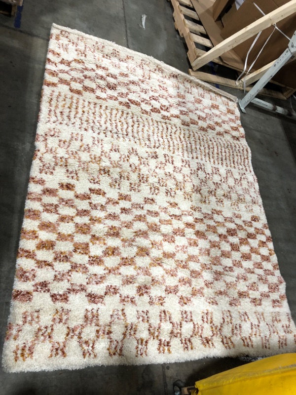 Photo 1 of 7x5ft area rug