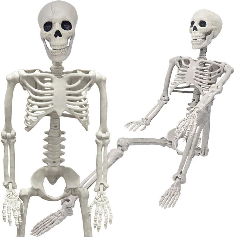 Photo 1 of 1pc ***Oceanite  36-Inch Skeleton Halloween Decoration, 