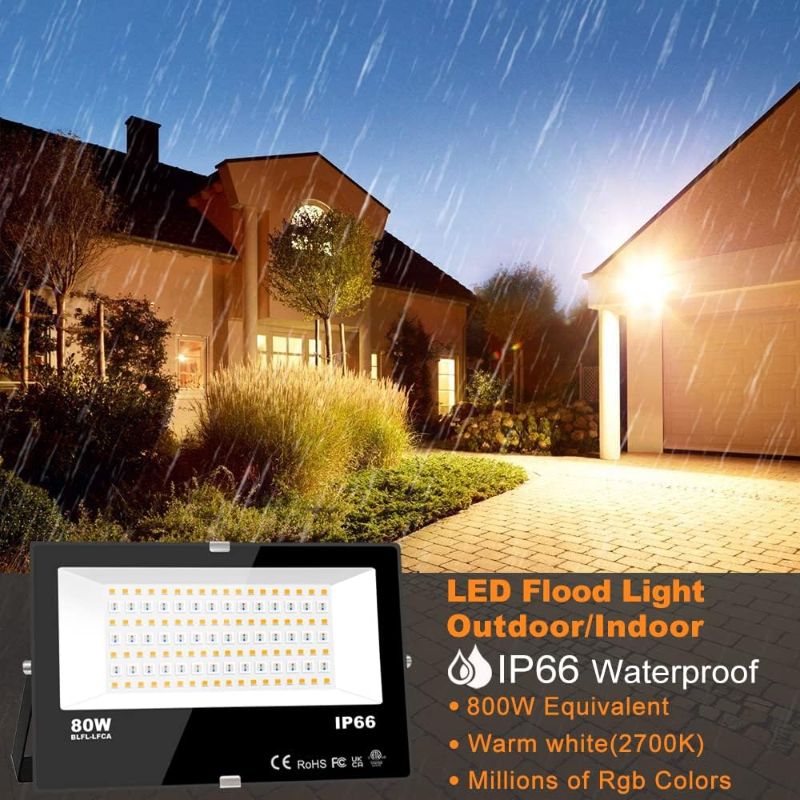 Photo 1 of (2 pack) MELPO LED Flood Light Outdoor/indoor warm white