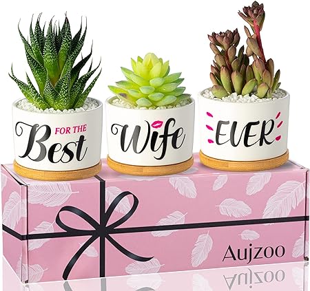 Photo 1 of Aujzoo Best Wife Ever, for Wife Valentines Day Anniversary Women's Day, Birthday Gifts for Her - Creative Present for Wife, Garden Decor Planter Succulent Pots 