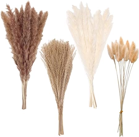 Photo 1 of Living Room Decor Boho Decor Dried Flowers Pampas Grass Decor 100PCS 17 in 45cm Decorations for Bedroom Table Decorations White & Natural Pampas Grass, Reed, Bunny Tails 