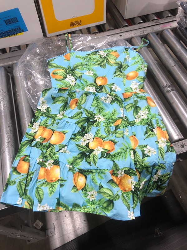 Photo 1 of BB DAKOTA Women's Summer Orchard Dress 6 Sky Blue