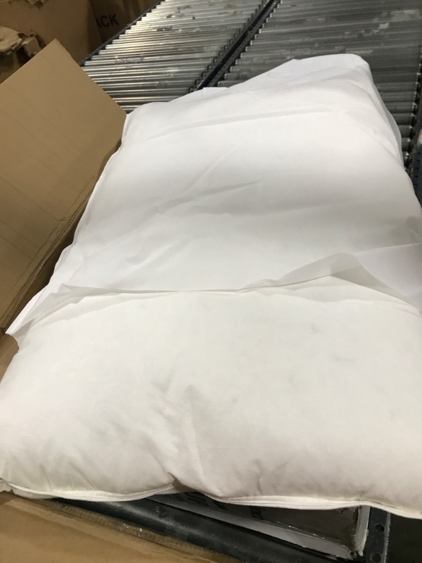 Photo 1 of 1 PACK OF DOWN PILLOW
20x30
QUEEN 