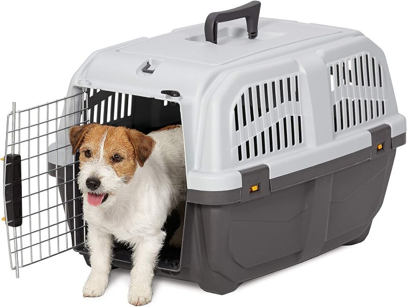 Photo 1 of MidWest Homes for Pets Skudo Plastic Carrier,Ideal for Small Dogs with an Adult Weight of7 Pounds, Grey
