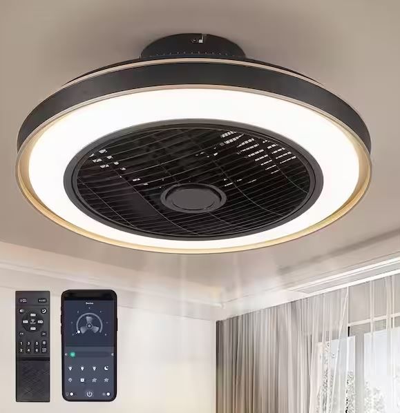 Photo 1 of 20 in. Indoor Black Caged Enclosed Ceiling Fan with LED Light Modern Low Profile Ceiling Fan with Remote and APP Control
