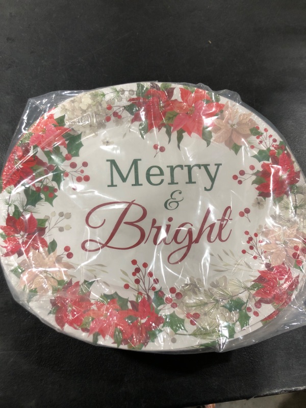 Photo 1 of 100 CT MERRY AND BRIGHT PLATES 