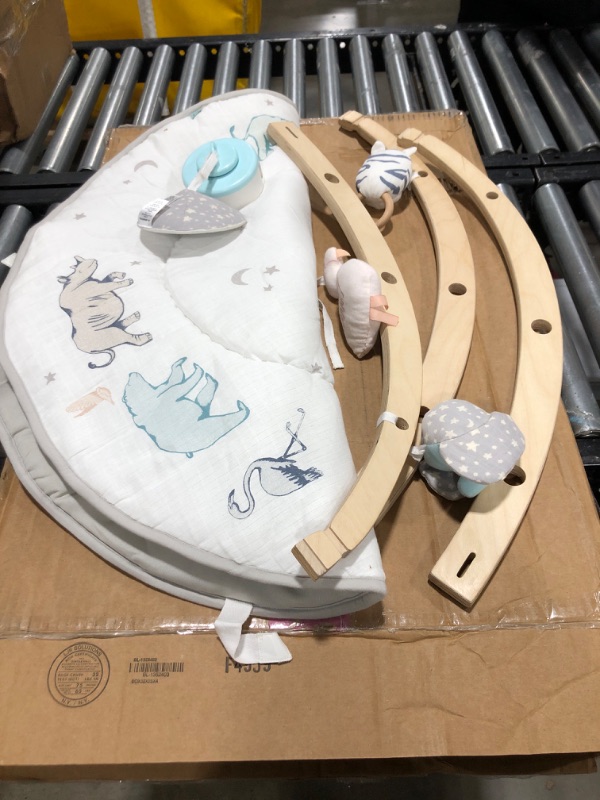 Photo 1 of Aden + Anais Play & Discover Activity Gym - Each