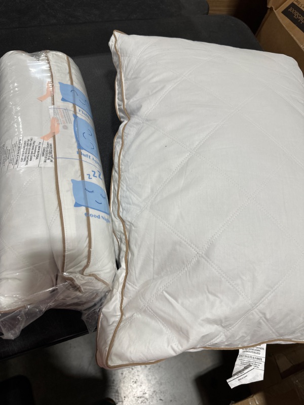 Photo 1 of 2 standard size pillows