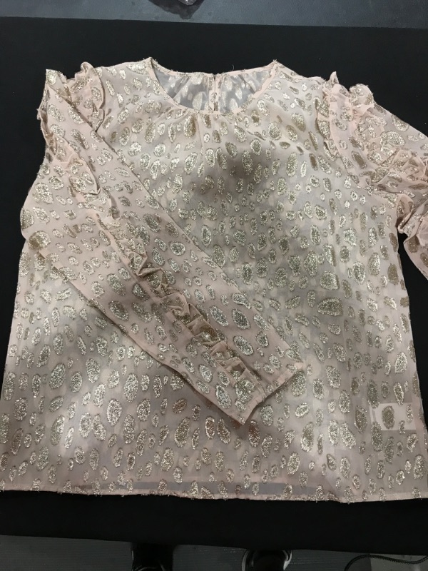 Photo 1 of [Size L] Ladies Blouse- Champagne