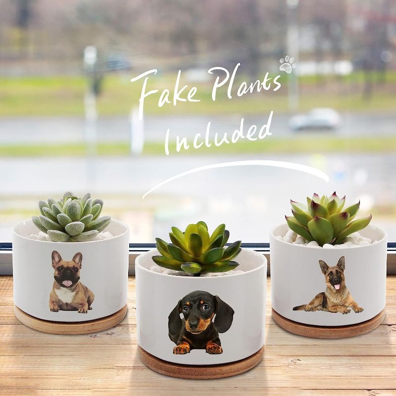 Photo 1 of Witzprac Dog Lovers Planter Pots