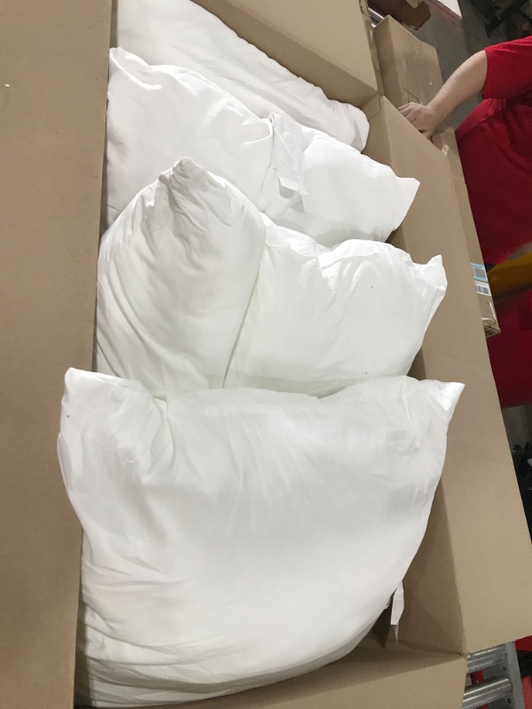 Photo 1 of 4 Large Pillows 