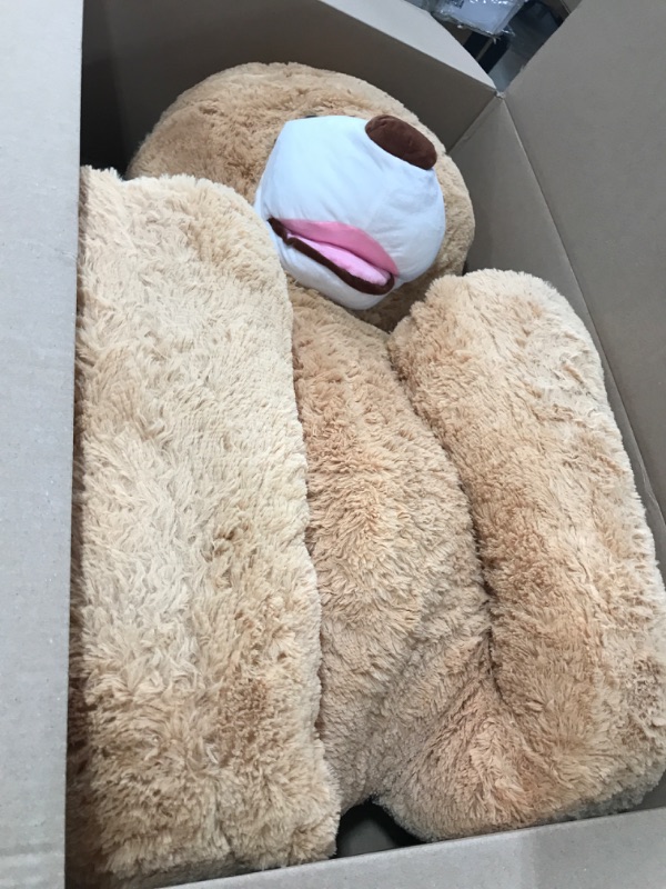 Photo 1 of  Giant Teddy Bear
