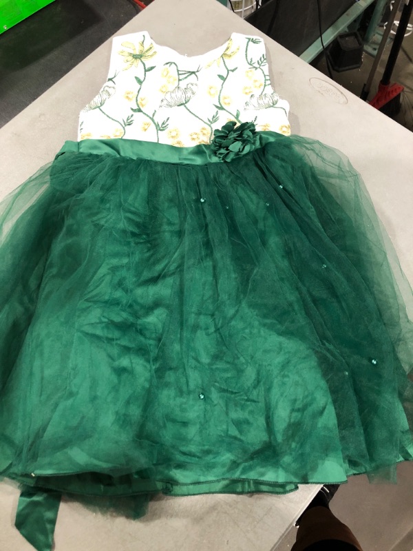 Photo 2 of  Baby Girls Flower Dress Embroidery Pageant Party Wedding Lace Dresses Green 8-9 Years