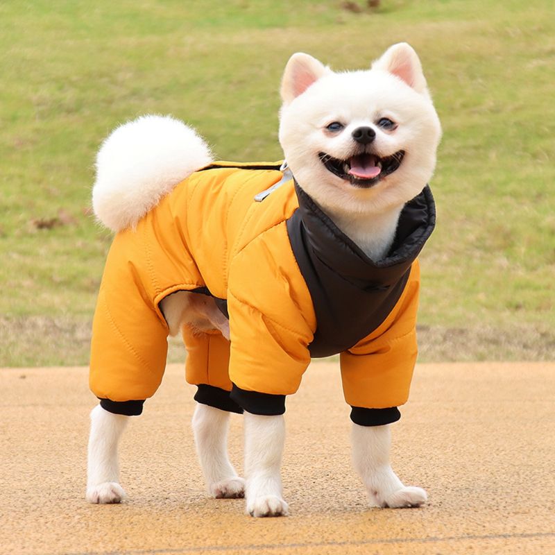 Photo 1 of [Size L] Winter Dog Jacket- Yellow