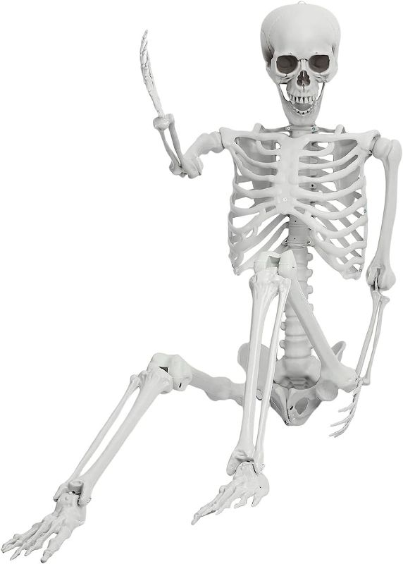 Photo 1 of HEVIRGO 5.4FT/165cm Halloween Life Size Skeleton Full Body, Human Bones with Movable Joints Human Skeleton Anatomy Model Halloween Props Party Decors Shipping from USA Fast Arrival
