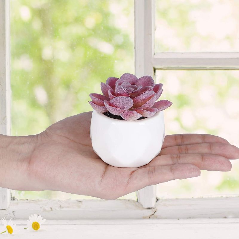 Photo 1 of 12 Pcs Pink Artificial Succulents in White Ceramic Pots Mini Artificial Fake Plants Pink Decor for Women Desk Aesthetic Cute Decor Accessories for Home Office Bedroom Bathroom Living Room Bookshelf