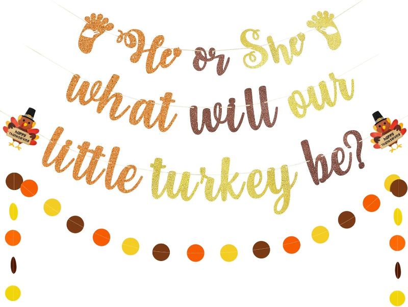 Photo 1 of  
He Or She What Will Our Little Turkey Be? Banner for Thanksgiving Baby Shower Party Decorations