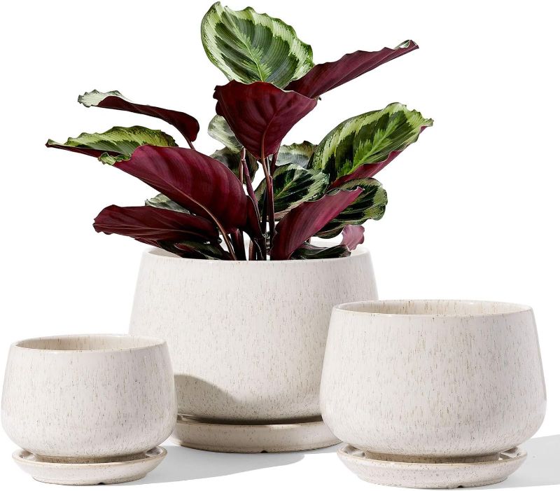 Photo 1 of  Plant Pots, 4.1+5.1+6.5 inch, Set of 3, Ceramic Planters with Drainage Hole and Saucer, Indoor Flower Pot with Hole Mesh Pad